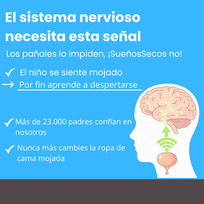 SueñosSecos™ - Protección Premium para Colchones